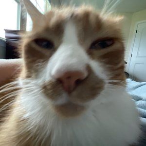 Meet your Posher, Jonathan